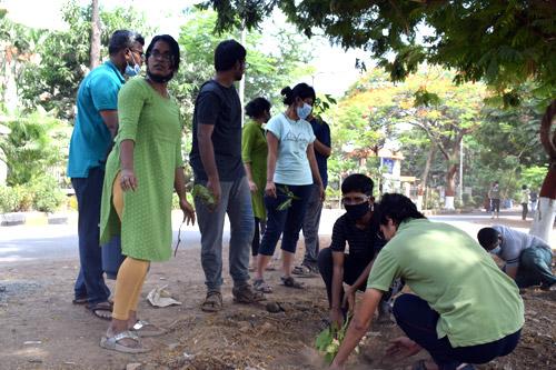 Environment Day celebration