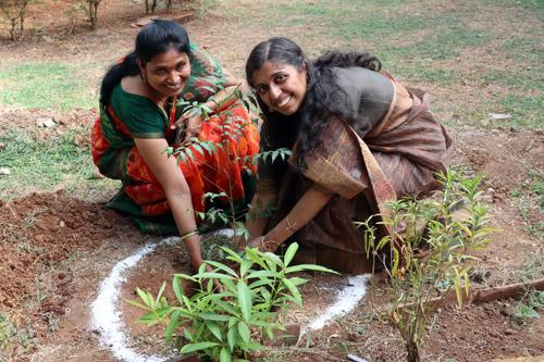 Environment Day celebration
