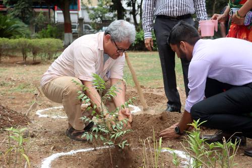 Environment Day celebration