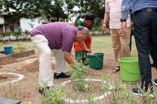 Environment Day celebration