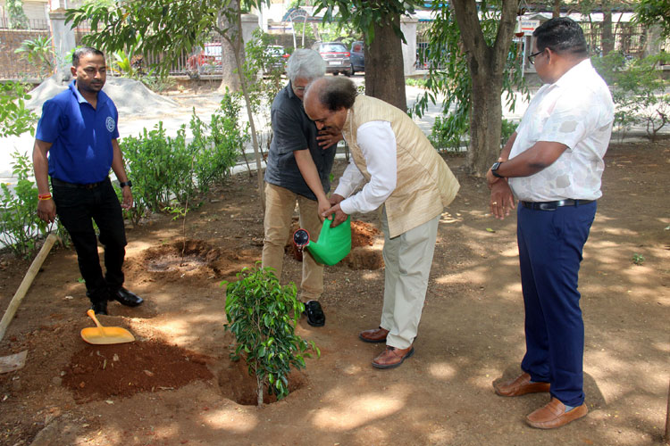 WORLD EVIRONMENT DAY PHOTOS